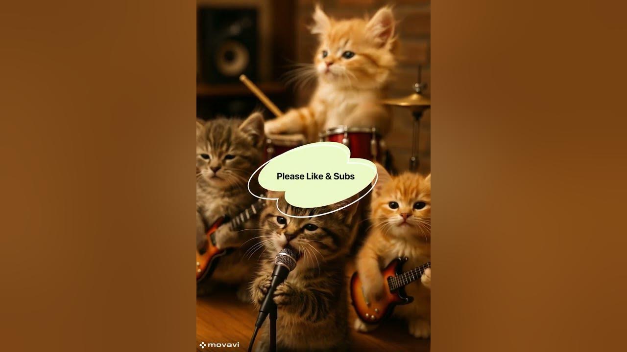 Rock-Star Kittens?! 🎸😹 The CUTEST Cat Band You’ll Ever See