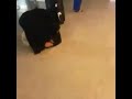 اريد اوصيك وصيه يا يما لا تبكي عليه اريد اوصيك وصيه يا يما لا تبكي عليه