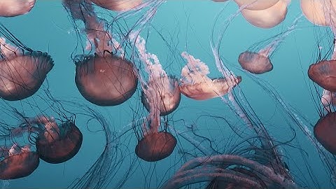 Artifact & Deluzion - Searching (Official Videoclip)