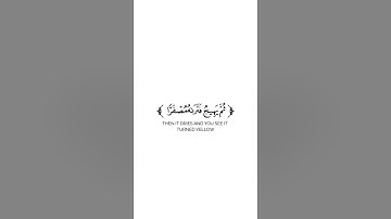 كروما شاشة بيضاء قرآن كريم 🌿تلاوة من سورة الحديد  🌿القارئ زين العابدين الحديدي 🌿