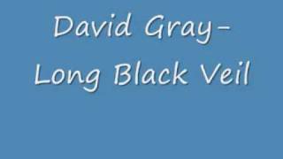 David Gray Long Black Veil