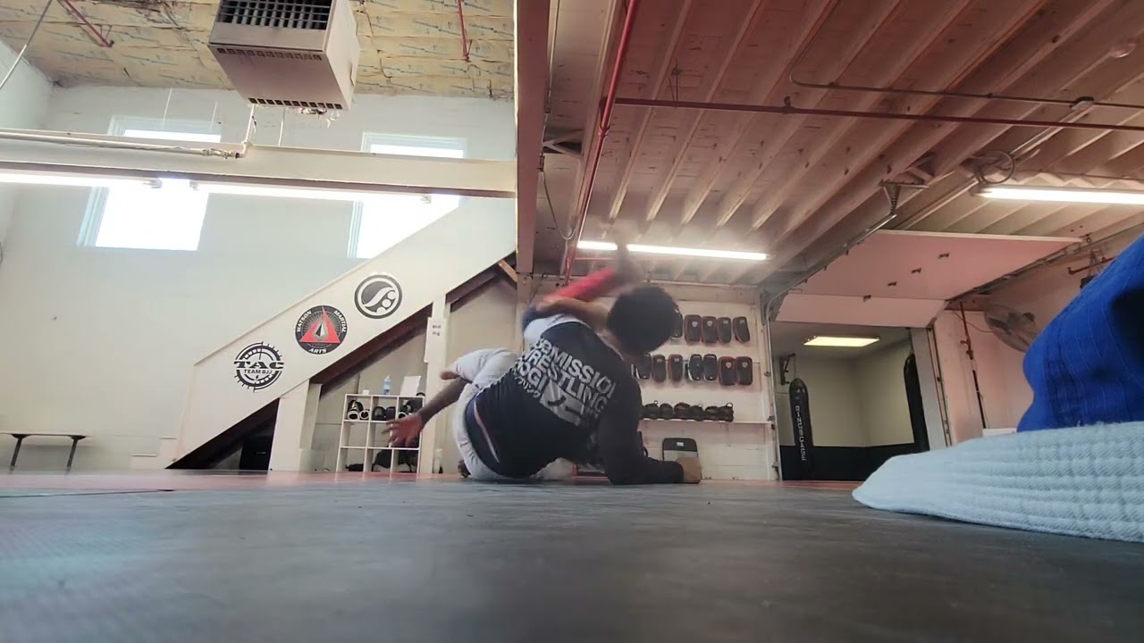 White belts doing white belt things part 2 2024