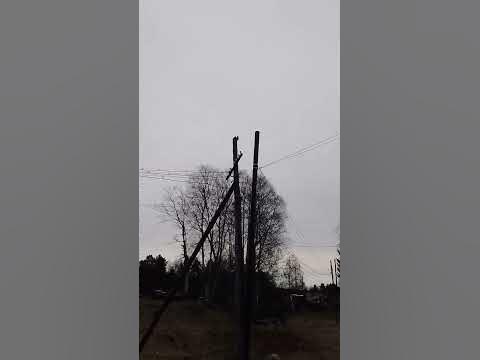 дятел Вуди 😆😆😆 - YouTube