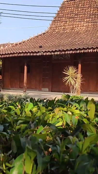 rumah joglo jawa #joglo #rumahjawa #viral #tradisi #budaya #pedesaan #nusantara