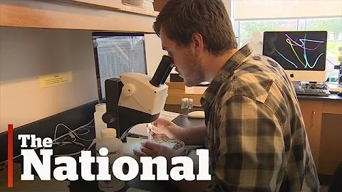 DNA Barcoding | Cataloguing all of earth’s species