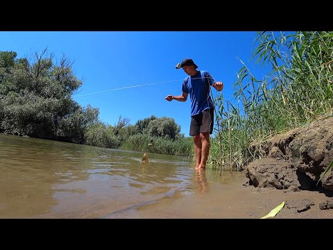 Видео: НА ОСТРОВА ЗА РЫБОЙ. Наловил НА ПОПЛАВОК И ЗАКИДУШКИ. Рыбалка на поплавочную удочку.