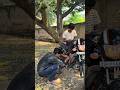 bike chor ☠️ funny shorts #comedy #funny #shorts