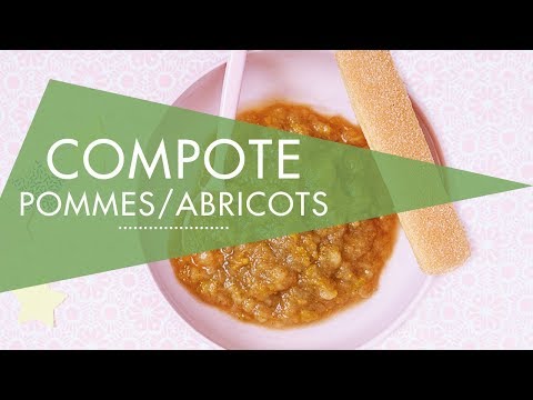 compote-pommes/abricots---recette-au-cook-expert-magimix