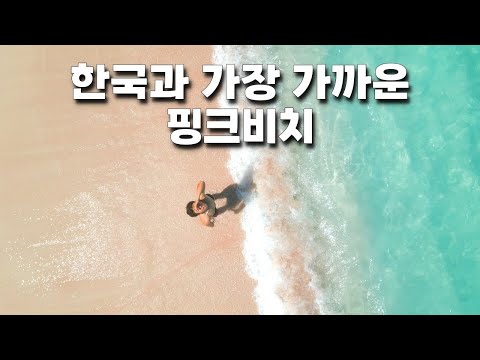 천국 같았던 핑크비치 🇮🇩인도네시아.6