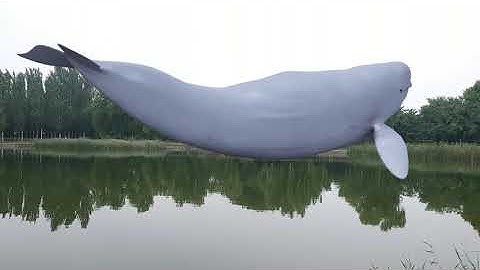 This adorable whale swims on the lake #animal #3danimation #specialeffects #vfx #3dmodeling