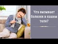 Что вызывает болезни в нашем теле