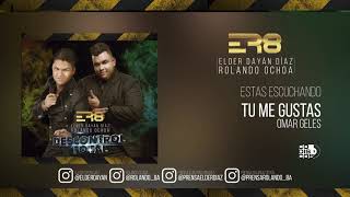 Video thumbnail of "2.  Tu Me Gustas   Elder Dayan Diaz & Rolando Ochoa Cover Audio"