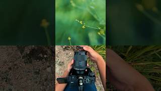Magnetic ND Filters