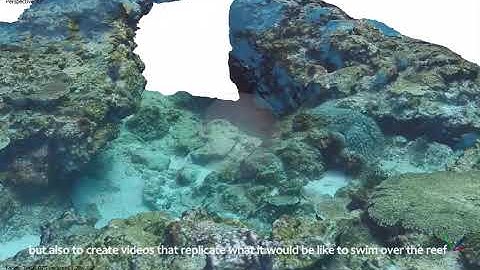 Virtual Reefs – recreating Sodwana Bay’s coral reefs in 3D
