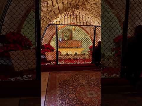    ضريح القديس شربل دير مار مارون عنايا