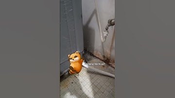 I still cant plumb my sink when I build in a rooftop lol #projectzomboid #build42 #update