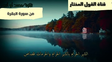 تلاوة من سورة البقرة //محمد أبو أنس الجبوري