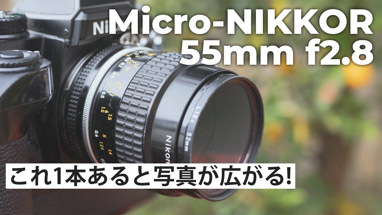 【オールドレンズ】Nikon神マクロレンズの描写力と対応力が完璧だった!【Micro-NIKKOR 55mm f2.8】 第172話