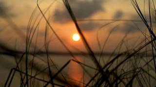 Burul, South 24 Parganas, West Bengal 4K Cinematic Video