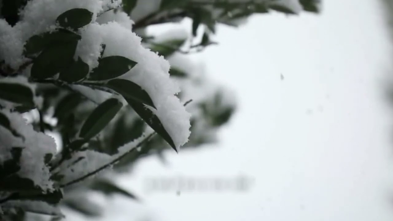 When The Winter's Gone   -   David Benoit feat. Jennifer Warnes / Lyrics