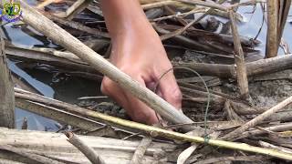 The Best Way For Hunting Eels In The Hold || Two Boys Have A Great Idea For Hunting Eels