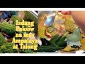 Paksiw na isda na may Ampalaya at Talong// lutong bahay ni Mary Ann