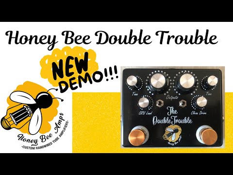 Ｈonny Bee Amps The Double Trouble 120.jpg