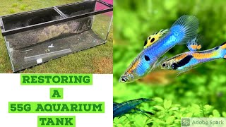 restoring a 55 gallon Aquarium tank