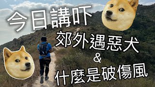 今日講下 郊外遇惡犬&破傷風 (*≧ω≦) （廣東話） by 蟲兄 80 views 1 month ago 3 minutes, 50 seconds