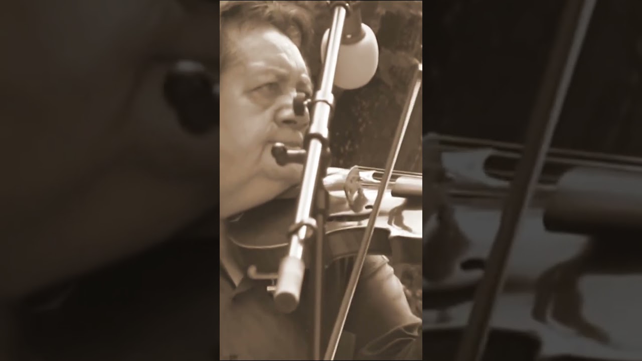 József Lendvai Csócsi 🎻 🔥 🎶