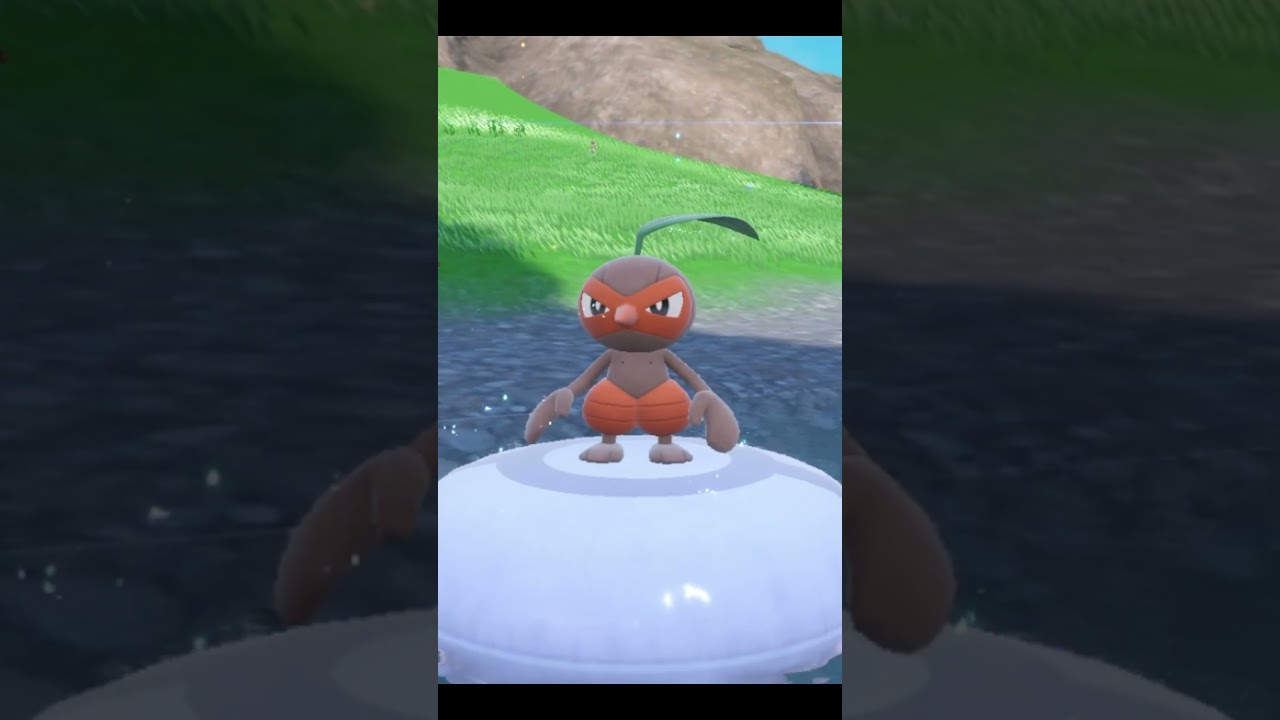 🌟Shiny Seedot Evolved Into Shiny Nuzleaf!🌟 Pokémon Scarlet & Violet
