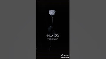 #قرآن_كريم #تلاوة_مميزة #القرآن_الكريم #تلاوات_خاشعة #راحة_نفسية #يارب #quran #الاستغفار