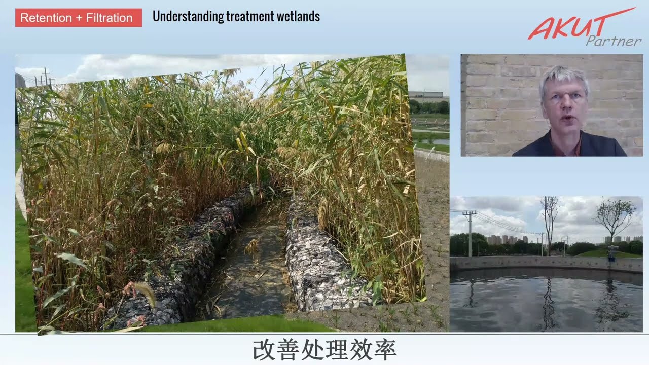 Constructed Wetlands in Urban Waters Restauration