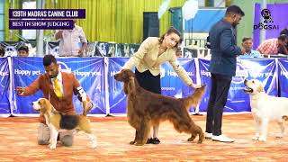 139th Madras Canine Club  Best in show.