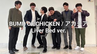 【アカペラ】BUMP OF CHICKEN / アカシア　Liver Bed ver.