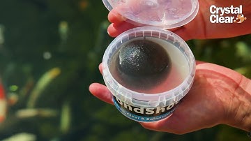CrystalClear® Product Video - PondShock™