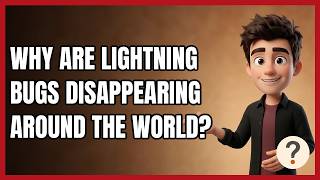 Why Are Lightning Bugs Disappearing Around the World