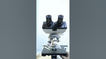 Tap water under the microscope #microscope #experiment #water