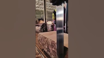 The Technique of Smart Workers is Very Great at Cutting Wood Quickly Using Modern Tools #Shorts