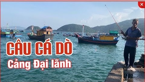 Câu Cá Giò | Cần Thủ Cảng Đại Lãnh Giật Cá Mỏi Cả Tay Cá Ăn Dày Xem Rất Hấp Dẫn | Người Vùng Biển