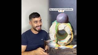 🤣👌👌👌مجموعة مقاطع مجنونة من وجهة نظر 2025 يجب مشاهدتها #فكاهة #fypシ #pov #fyp #foryou 😍😜