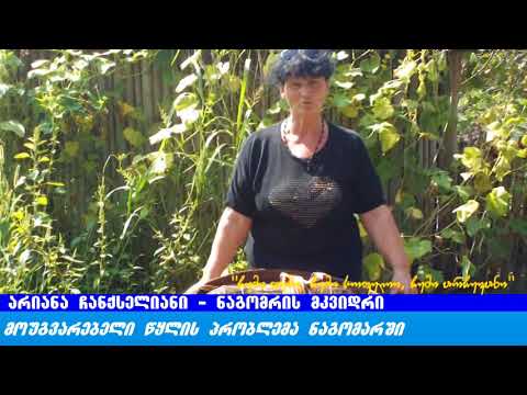 \"ჩემი თემი, ჩემი სოფელი, ჩემი არჩევანი\" – მოუგვარებელი წყლის პრობლემა ნაგომარში