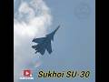 Russian Air Force Sukhoi SU-30 Flanker Fighter Jet #aviation #military #shorts