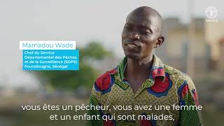 L’IPC en action: accent sur la protection sociale dans la pêche artisanale