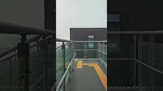 [Busan] heavy rain is falling...