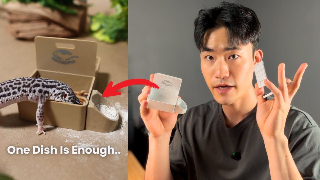 Why Geckopia Triple Dish?