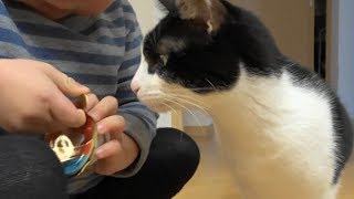 おやつがつなぐ、猫とこども A food connects with a cat and a child