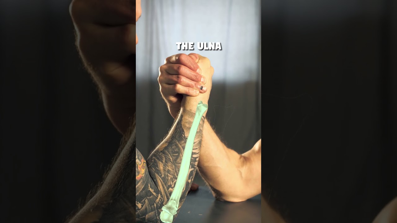 The Bones of your Forearm