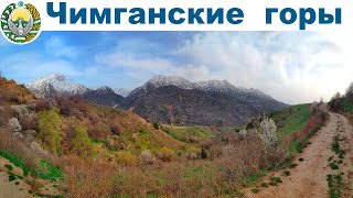 картинка: Чимганские горы весной и Чарвакское водохранилище  |  Chimgan Mountains, Uzbekistan