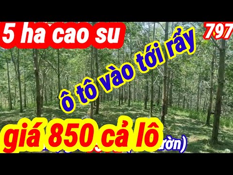 Video: Lính dù Nga sẽ mọc cánh